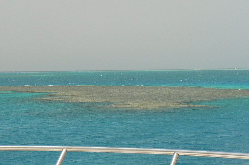 Barriera Corallina Egitto