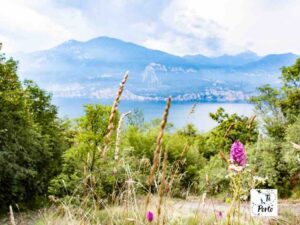 Trekking Lago di Garda
