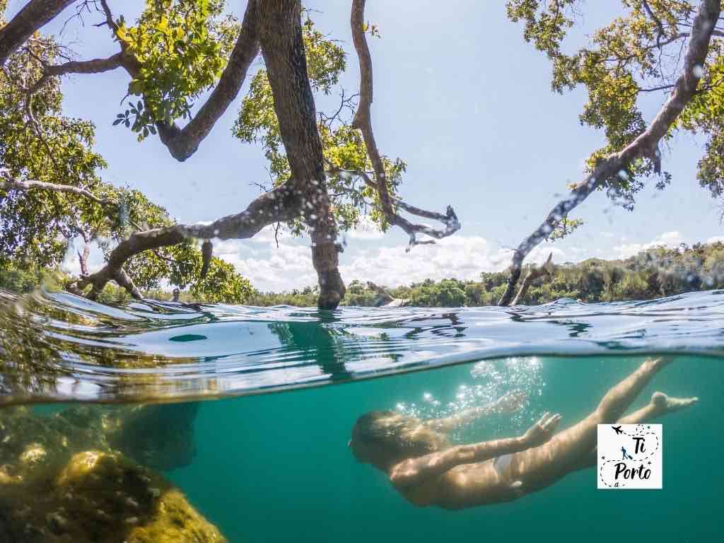 Immersione Cenote Messico